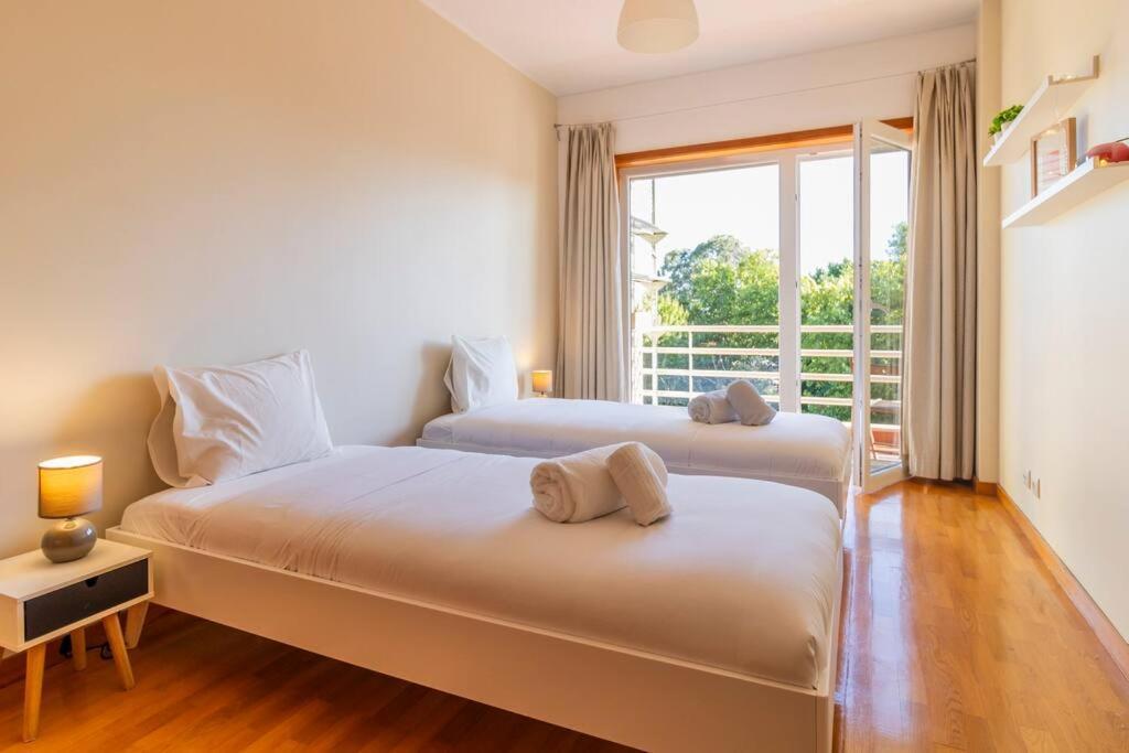 Casa Da Praca In The Center Of Porto - Guestspa Εξωτερικό φωτογραφία