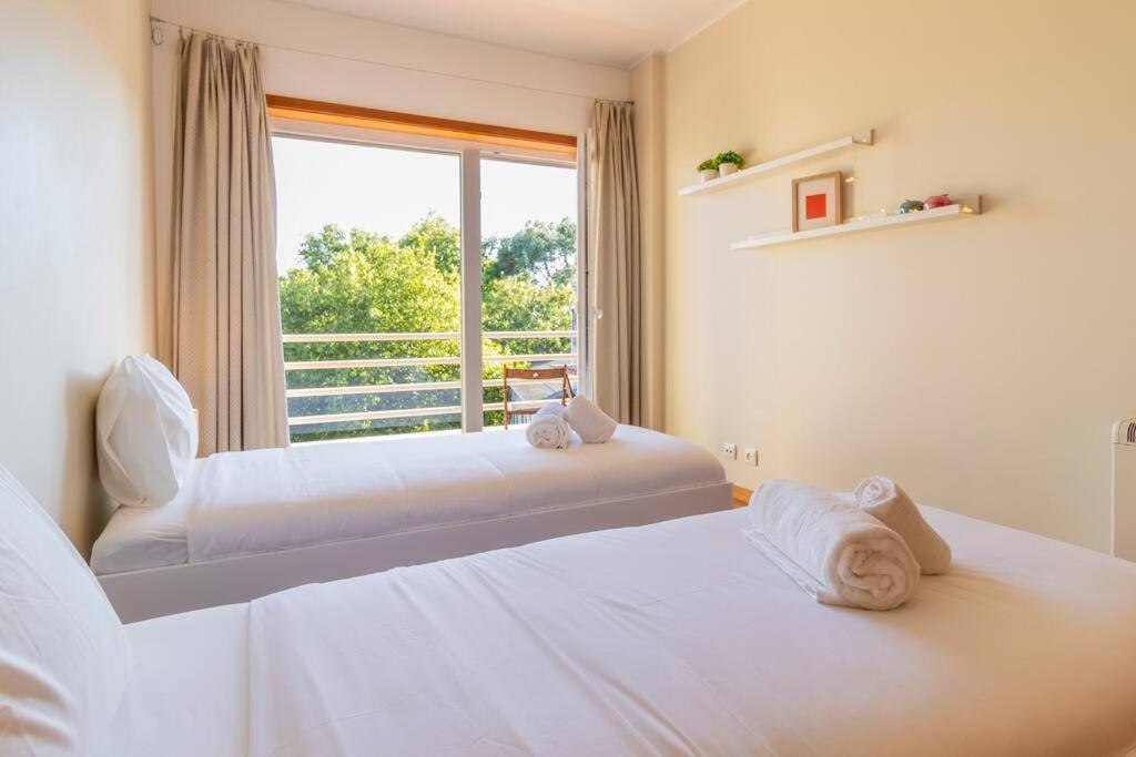 Casa Da Praca In The Center Of Porto - Guestspa Εξωτερικό φωτογραφία